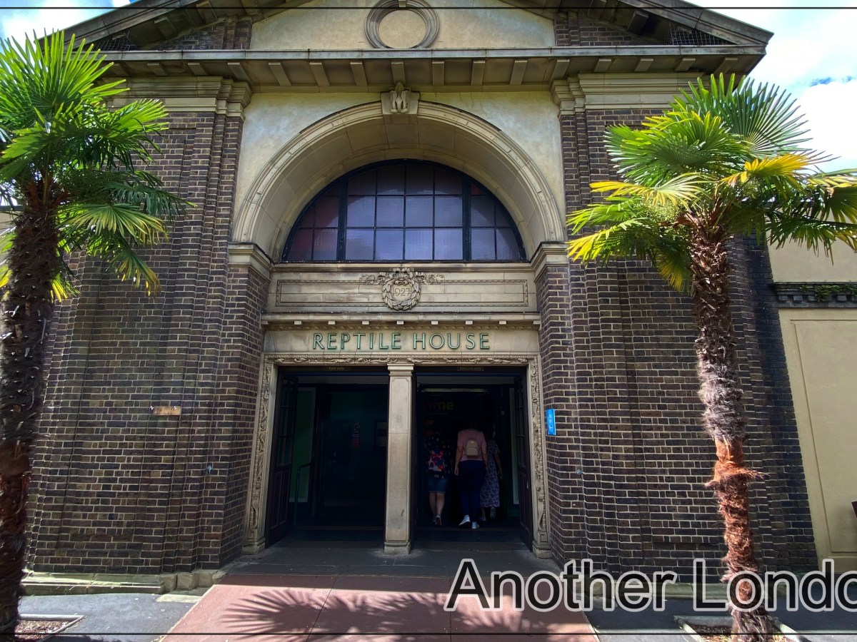Komodowarane treffen Giraffen: der ZSL London Zoo
