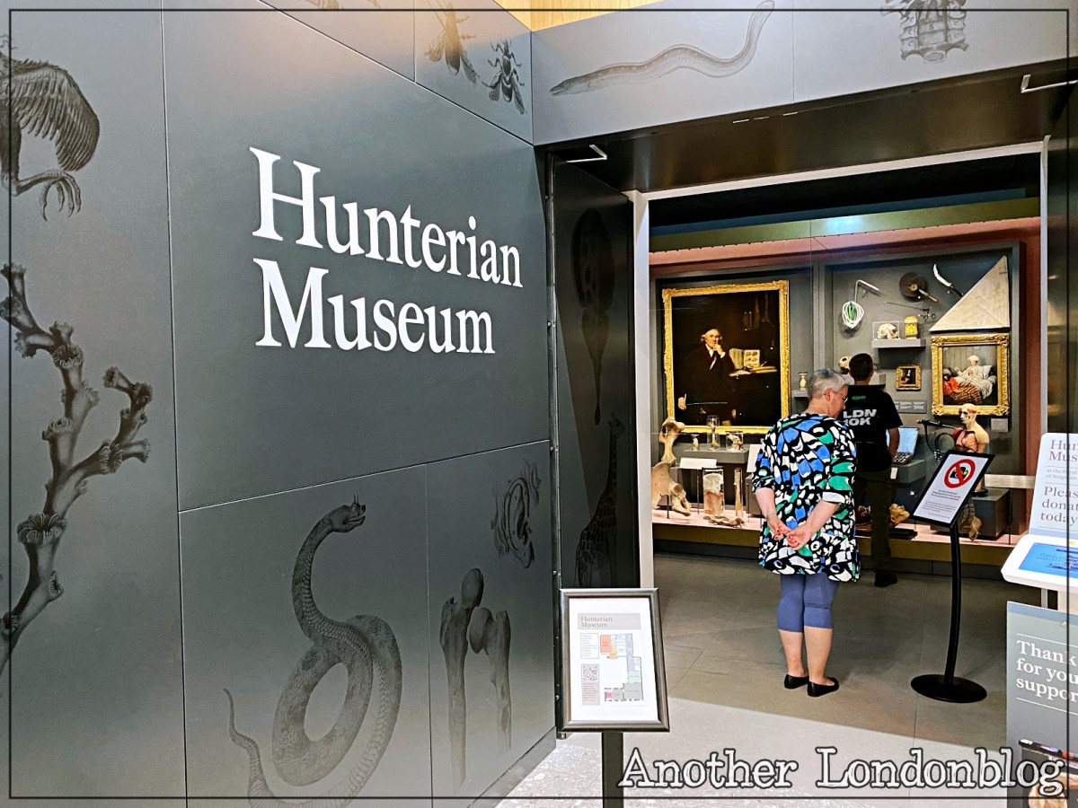 John Hunter und seine faszinierende Sammlung – das Hunterian Museum